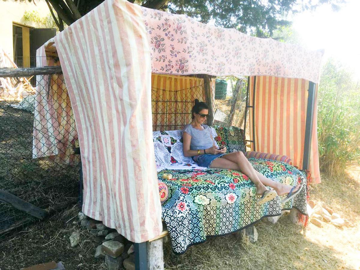 Terra Della Lanterna Acomodação com café da manhã Cetona Exterior foto