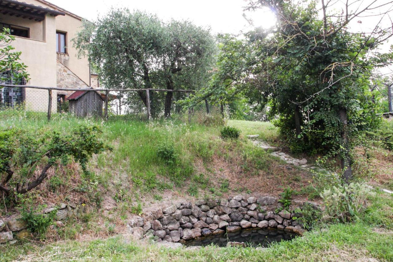 Terra Della Lanterna Acomodação com café da manhã Cetona Exterior foto